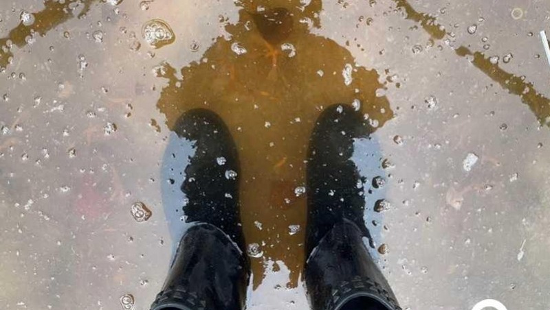 В Омской области уменьшилось количество подтопленных домов и участков