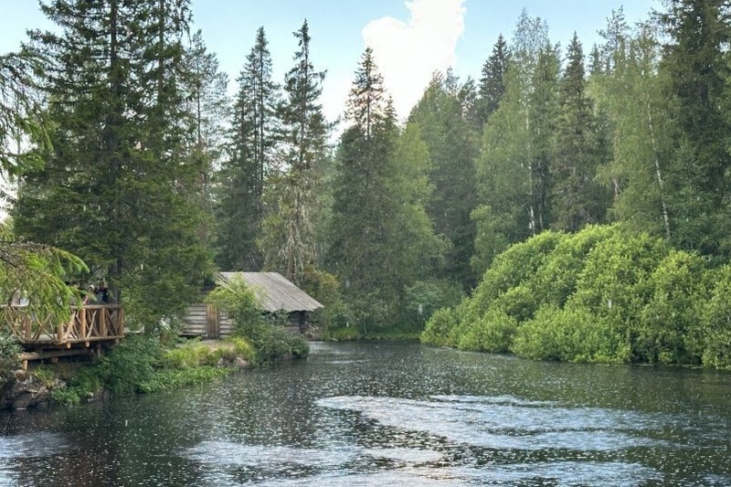 Разработка ученых Заполярья признана одной из лучших экопрактик года - РЭО