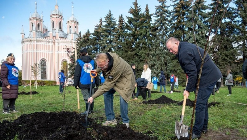 Яблони и груши высадили к 255-летию Чесменского сражения в Московском районе Петербурга
