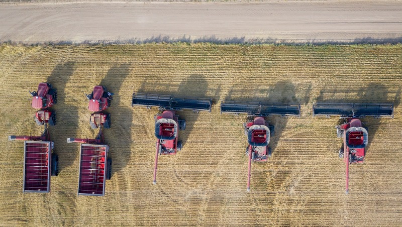 Лучших сельхозпроизводителей наградили на агропромышленной выставке в Екатеринбурге