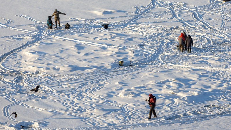 230 рыбаков-любителей спасли со льда Финского залива в Петербурге