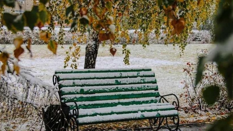 В начале ноября в Омской области ожидаются метель и гололёд