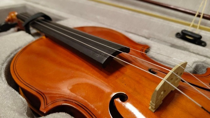 Кабинеты физики, музыки и ИЗО оснастят новым оборудованием в 621 школе Самарской области