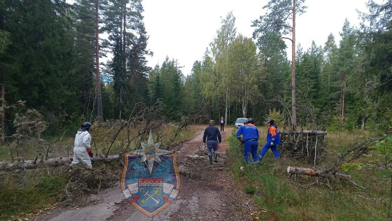 Спасатели освободили лесную дорогу от упавших деревьев в Ленобласти