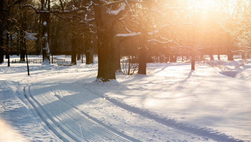 Лыжные трассы проложили в парке «Александрия» в Петергофе