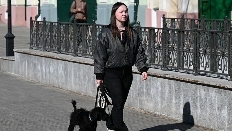 Бесплатную вакцинацию домашних животных от бешенства проведут 4–5 апреля в Казани