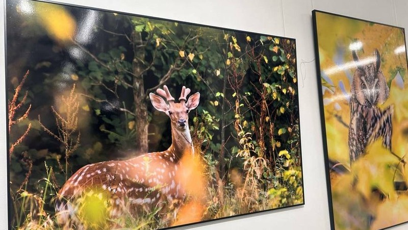 Международный фестиваль фотографий дикой природы начнётся 12 марта в Казани