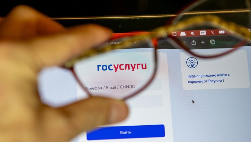 49,9 тыс. петербуржцев подали заявления в первые классы через «Госуслуги»