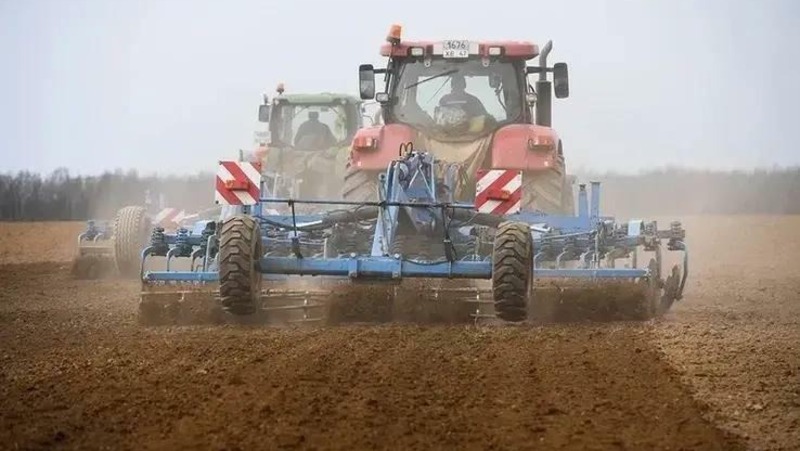 Около 70 тыс. га засеют яровыми культурами в Ленобласти