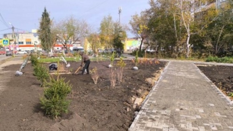 На ул. Белозерова высадили деревья и кустарники