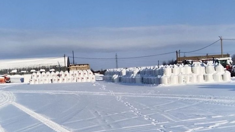 Более 2 тыс. тонн удобрений подготовили елабужские аграрии к весне