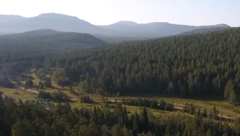 Банк вакансий для заповедников и национальных парков откроют в Башкирии