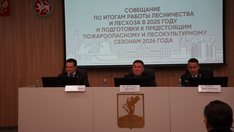 34,4 га лесов восстановили в Елабуге в 2025 году