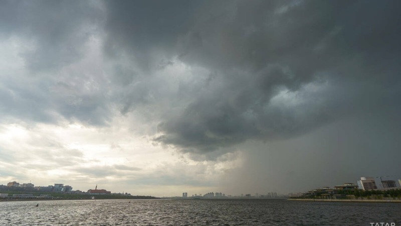 Проверять номера для госуслуг на актуальность начнут в России