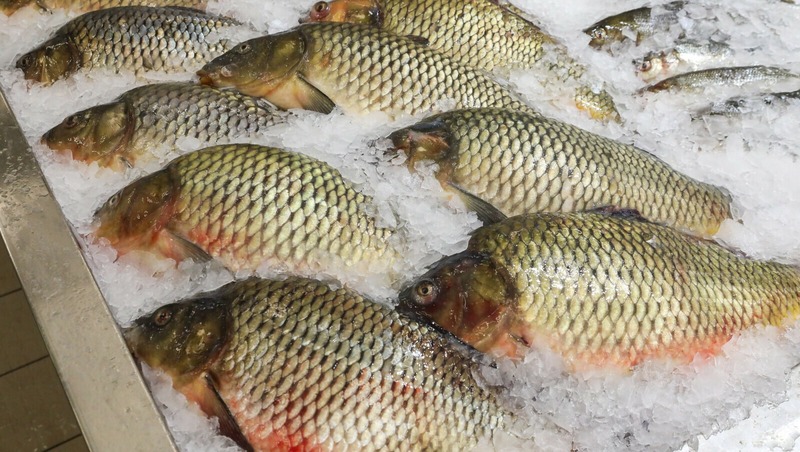 Более 47,6 тыс. тонн рыбы и морепродуктов импортировали в Петербург с начала года