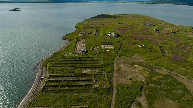 3 колымчанина ответили за незаконный вылов сельди на Атаргане