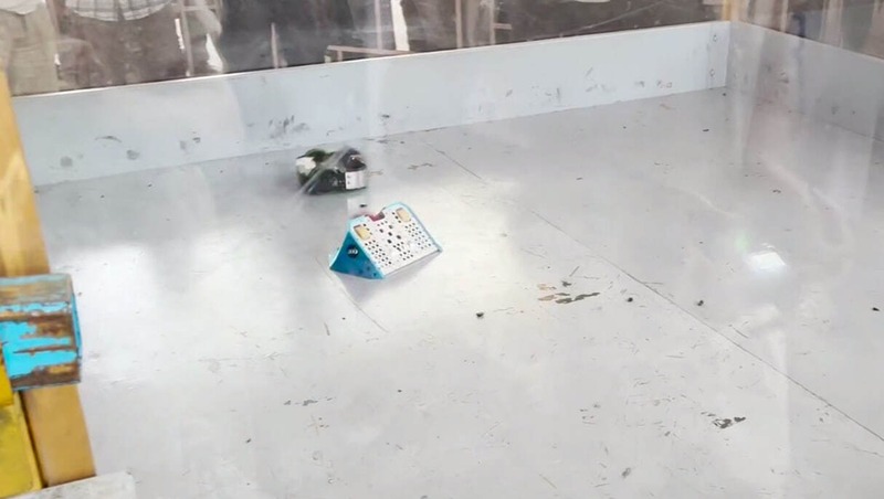 Инженеры СПбПУ заняли 1-е место на международном чемпионате по боям роботов в Индии