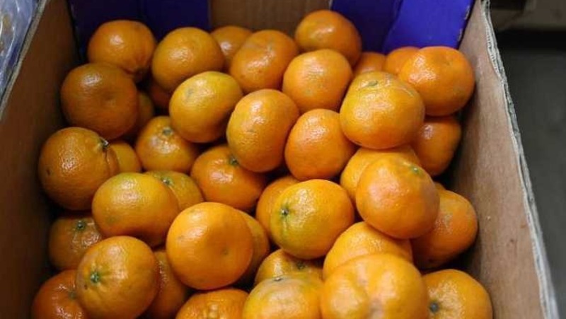 36 тонн китайских мандаринов завезли к Новому году в Челябинскую область