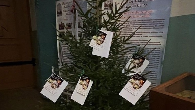 Праздничную ёлку с детскими письмами-мечтами установили в Спасском соборе Елабуги