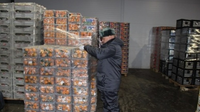 На 19,7% вырос товарооборот России и Китая за январь–апрель 2026 года