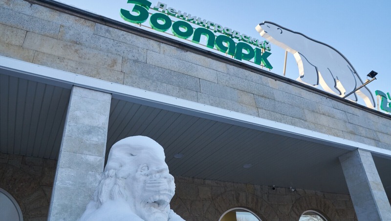 Более 1,2 млн человек посетили Ленинградский зоопарк Петербурга в 2025 году