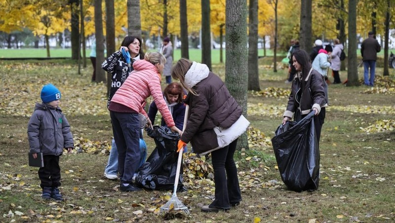 5,8 тыс. деревьев высадили в Петербурге за месяц благоустройства