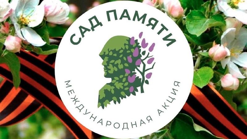 Более 1,8 млн деревьев высадили в память о защитниках Отечества в Башкирии в 2025 году