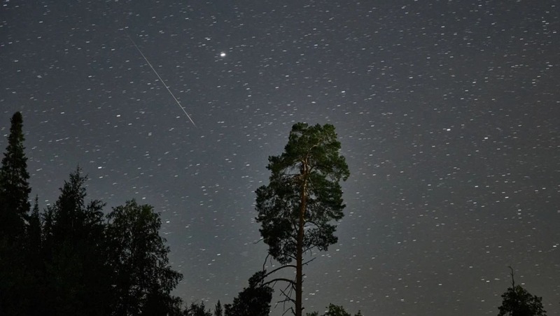 ГигаЧат помог создать нейрокартины для выставки «Загадки космоса» в «Доме со слонами»