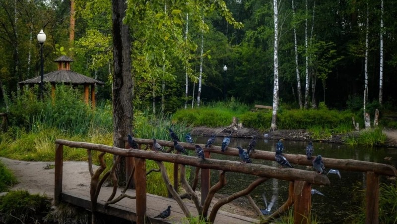 Городской экофестиваль состоится в парке «Балатово» 5–6 июня в Перми