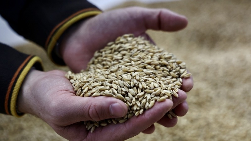 Путин наградил челябинского фермера медалью «За труды по сельскому хозяйству»