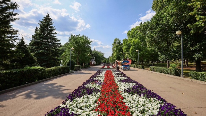 Загородный парк Самары благоустроят в 2026 году