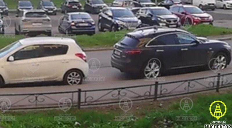 Ворона камнем разбила стекло иномарки в Петербурге 