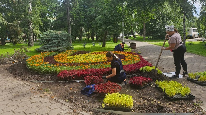 220 тыс. цветов высадят на «Флоре» в Омске