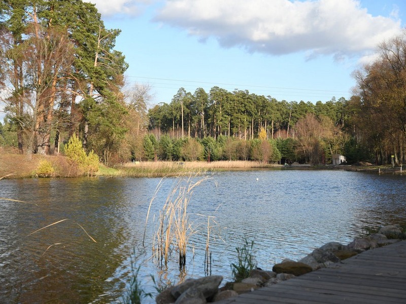 Экопроект «Зеленые тропы» начали разрабатывать в Казани