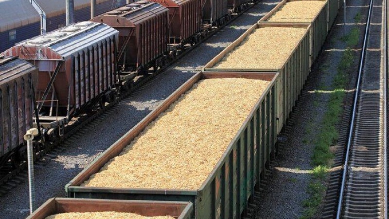 Омская область в топ-3 регионов России по отгрузке зерна