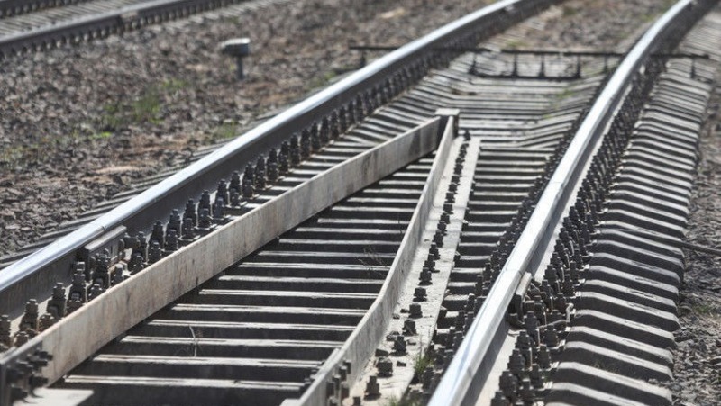 Грузовой поезд насмерть сбил женщину в Ленобласти 