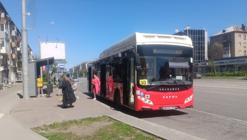 33 автобуса доставят в 5 муниципалитетов Прикамья