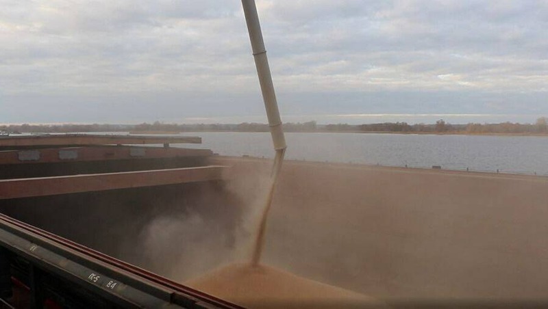 Татарстан экспортирует более 5 тыс. тонн кормового ячменя в Иран