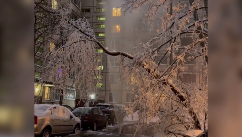 Фонтан с холодной водой забил на проспекте Луначарского в Петербурге