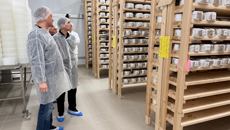 Производство сыров в ПФО выросло на 60% за пять лет