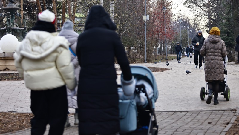 До 2,9 млн выросло число многодетных семей в России