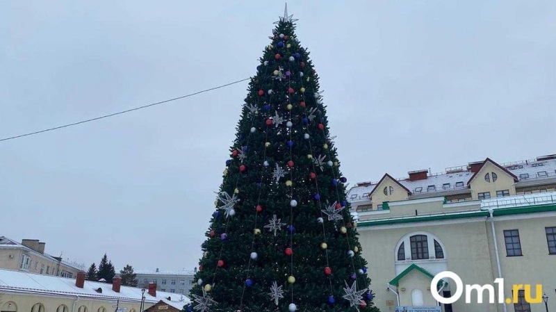В Омской крепости сделают 16-метровое чучело Зимы из новогодней ёлки