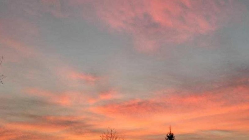 В Омске заметили «космическую медузу» после запуска спутника с животными