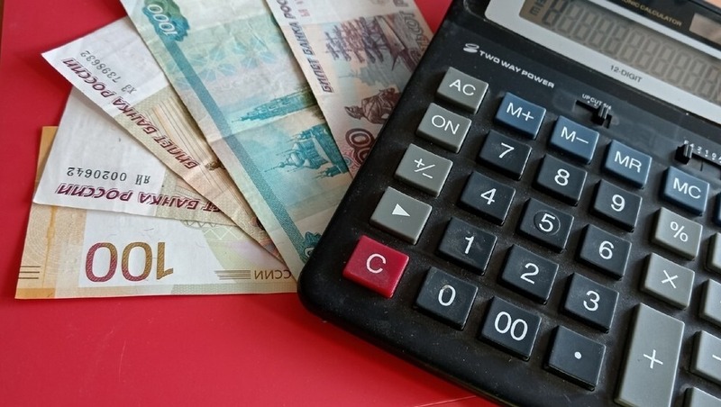 Более 2,6 тыс. волонтёров занимаются экономическим просвещением в Рязанской области