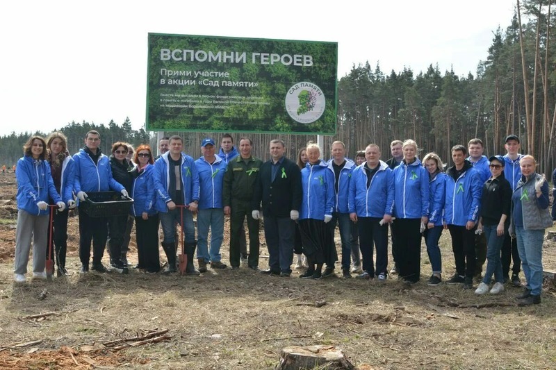 Около 15 тыс. сосен в память о героях Великой Отечественной войны высадили в Воронежской области