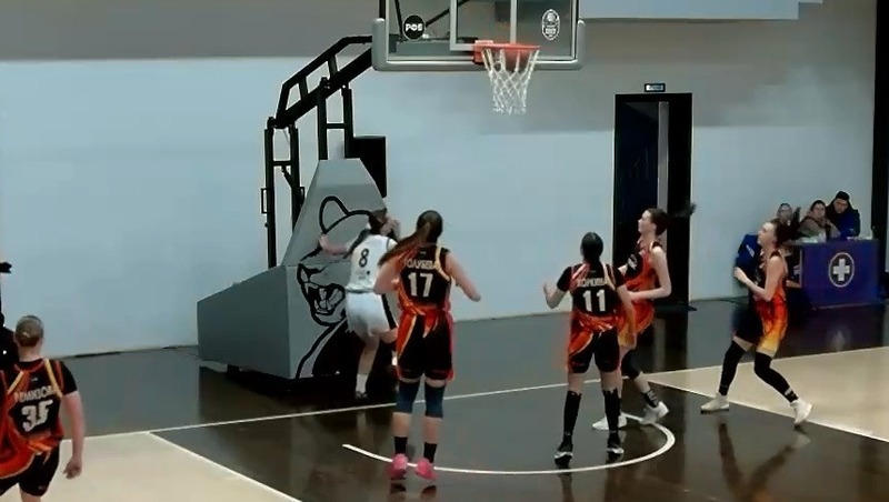 «Владимирские Львицы» победили в двух домашних матчах в феврале