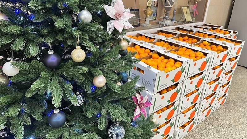 Абхазия передала 10 тонн мандаринов для соцучреждений Петербурга