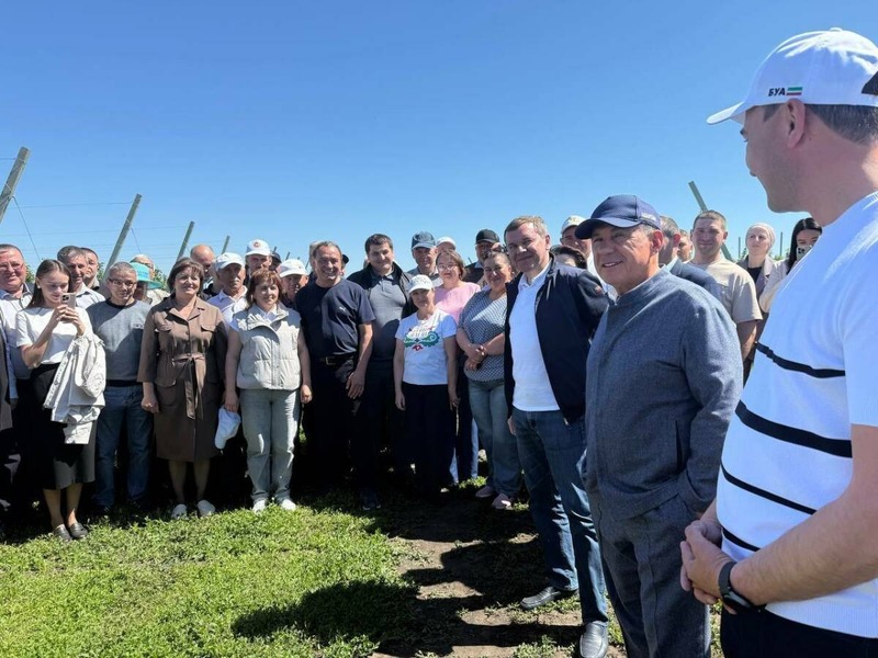 Минниханов осмотрел поля  Буинского района