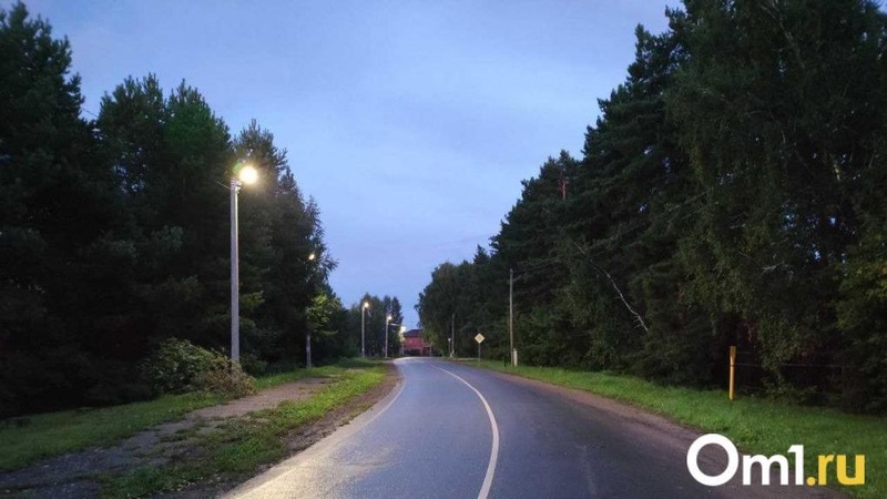 Более 330 млн руб. направили на ремонт дорог в Омской области 