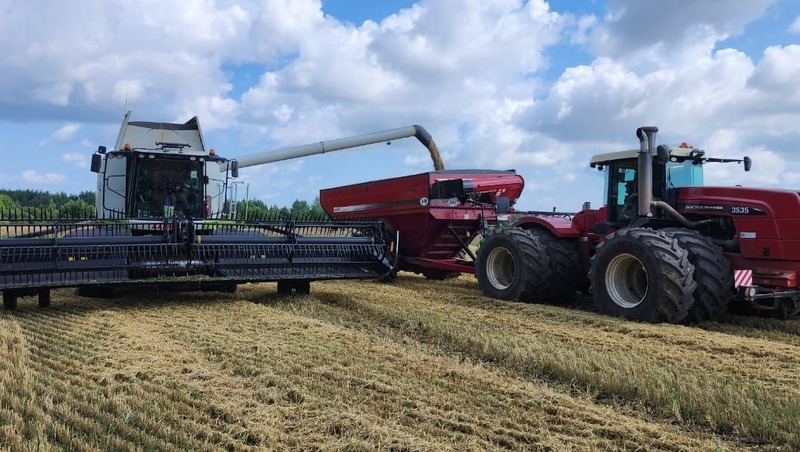 62 тыс. тонн зерновых культур собрали в Елабужском районе